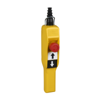 Schneider Electric 2 function pendant